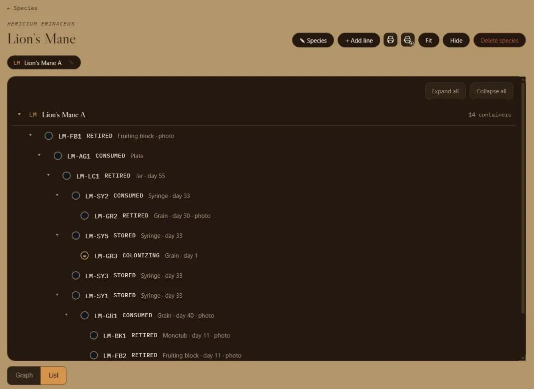 The lineage tree as an indented list, with each container's status written out.